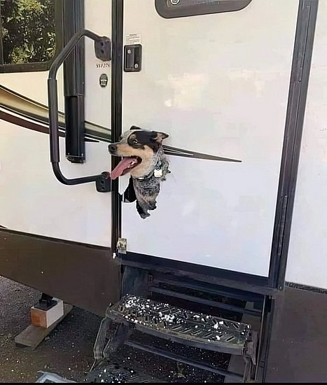 26627.jpg