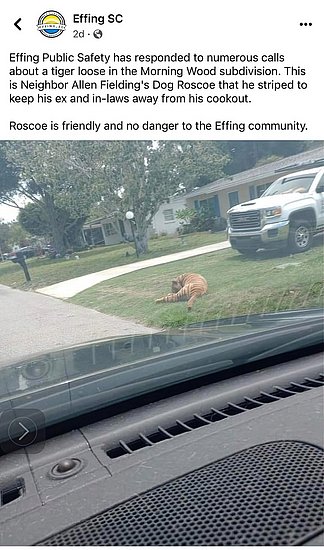 26632.jpg
