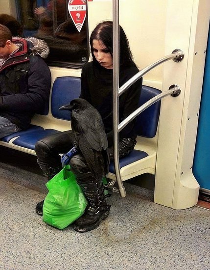 26683.jpg