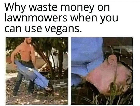 26708.jpg
