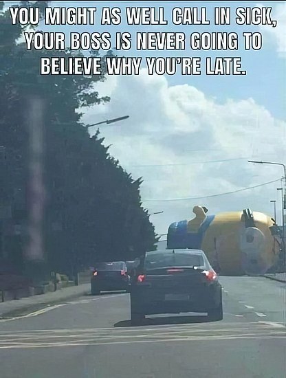 26779.jpg