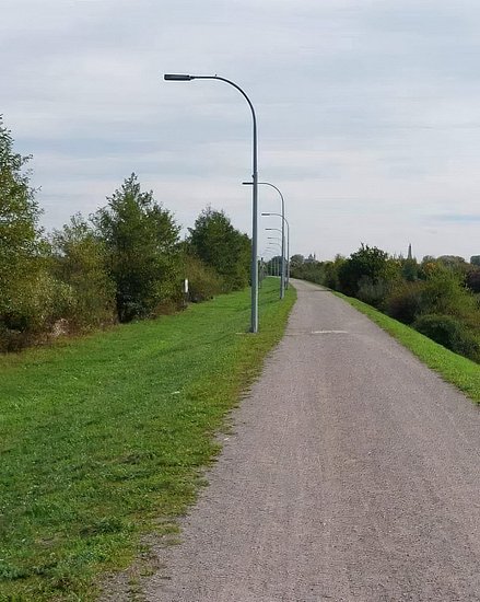 26813.jpg