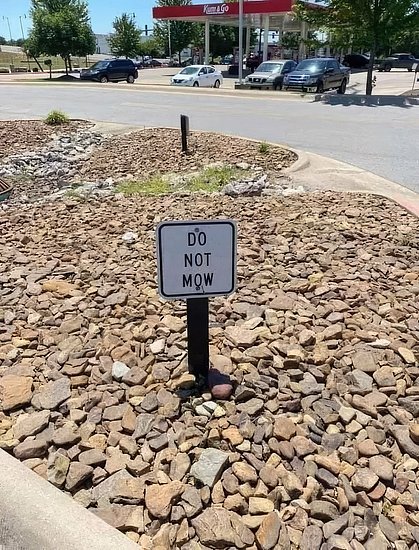 26825.jpg