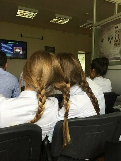 26842.jpg