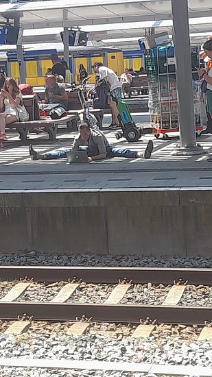 26851.jpg
