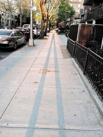 26874.jpg