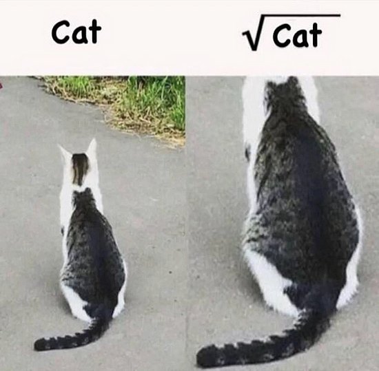 26885.jpg