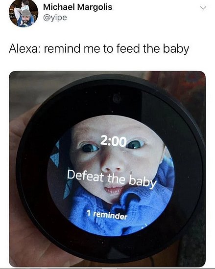 26913.jpg