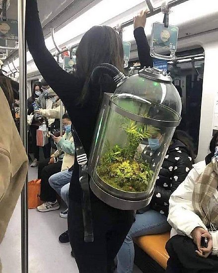 26923.jpg