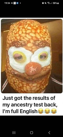 26966.jpg