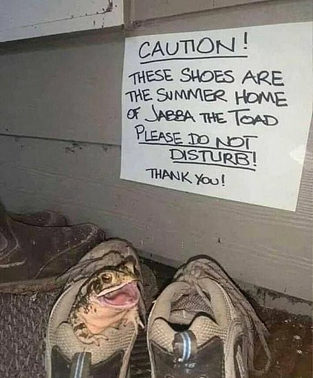 26967.jpg