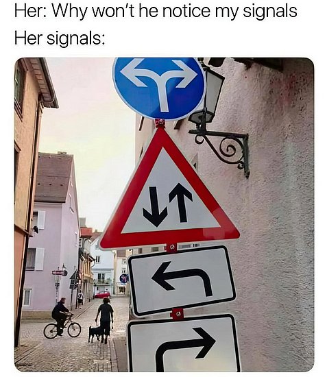 27022.jpg