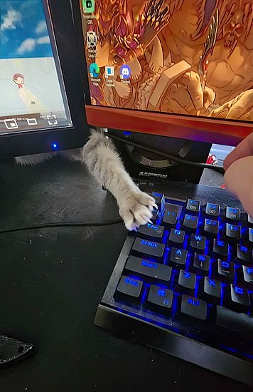 27060.jpg