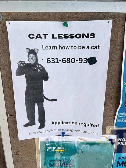 27121.jpg