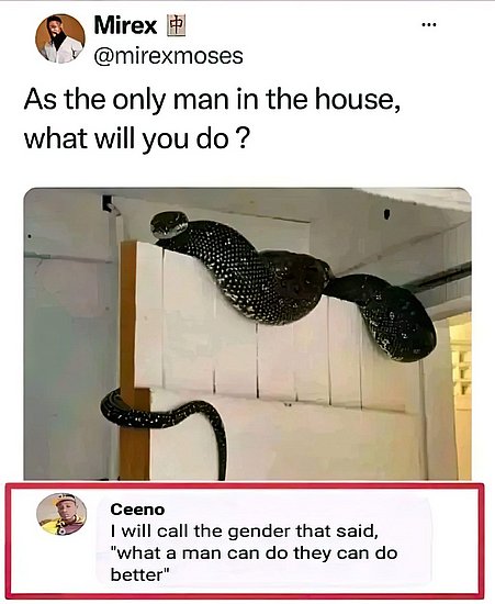 27181.jpg
