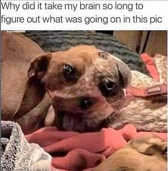27223.jpg