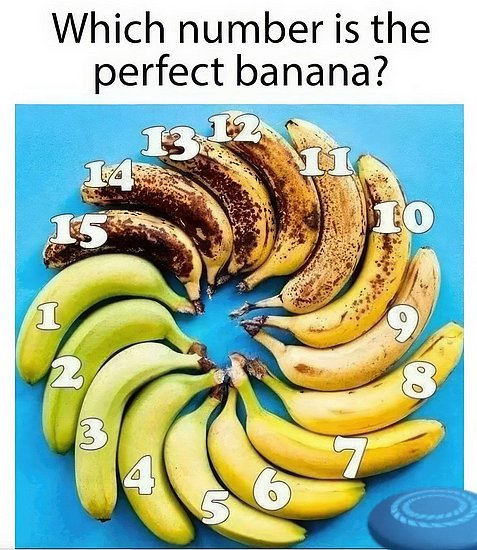 27249.jpg