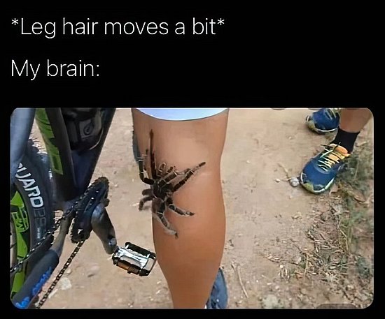 27333.jpg
